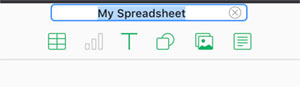 Rename the Spreadsheet