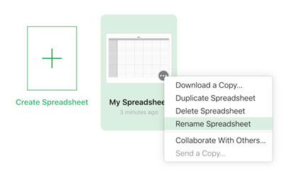 The Spreadsheet can also be renamed from the main Numbers file management window
